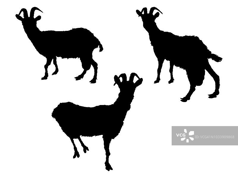 山羊轮廓图片素材