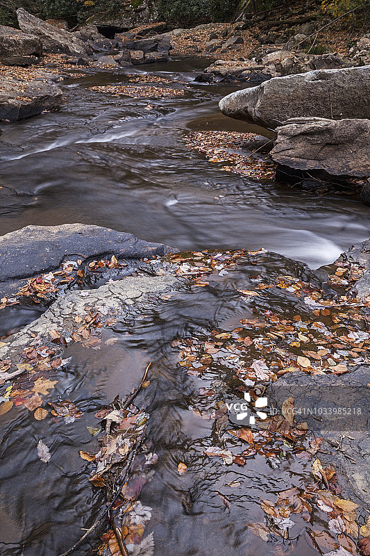 巴布科克州立公园的秋色图片素材