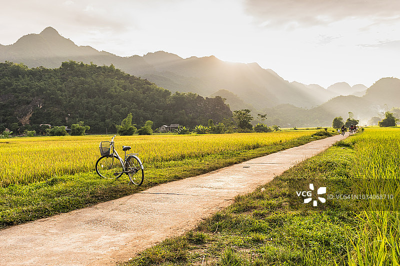 越南梅州山谷Lac村附近的稻田里的自行车图片素材