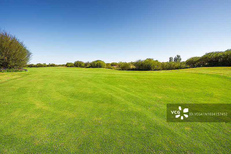 翠绿草地和蔚蓝晴空图片素材