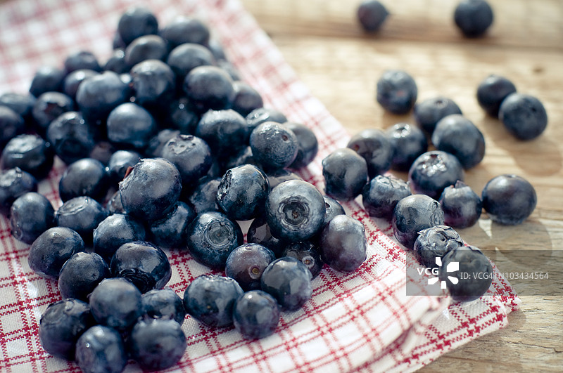 蓝莓图片素材