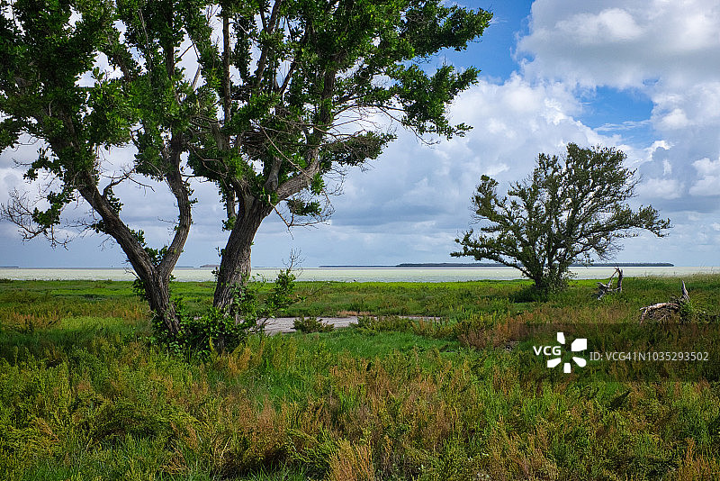 大沼泽地国家公园的佛罗里达湾图片素材