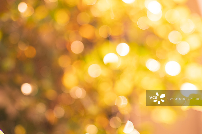 秋季散景背景，充满活力的自然色彩图片素材