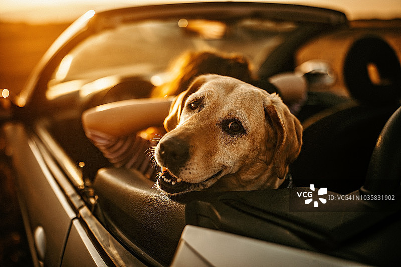 漫无目的的旅行图片素材