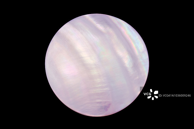 珍珠母贝圆形切片图片素材