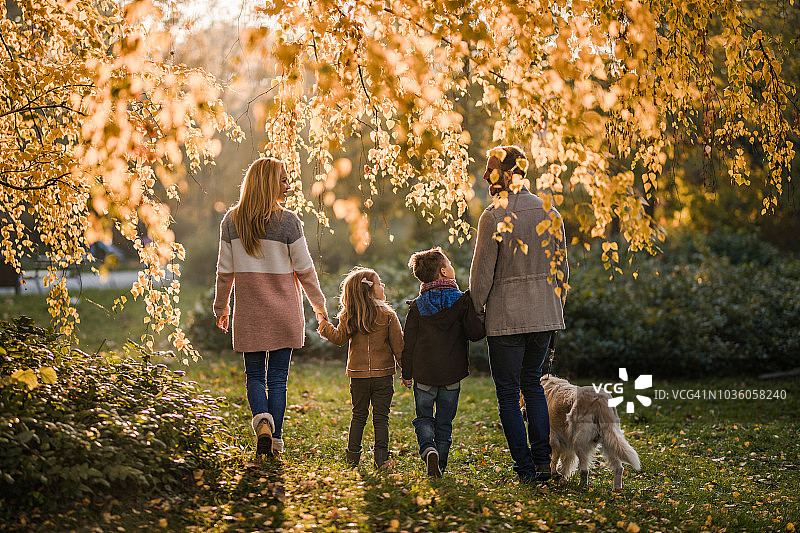 幸福的一家人手牵着手在公园里遛狗的背影图片素材