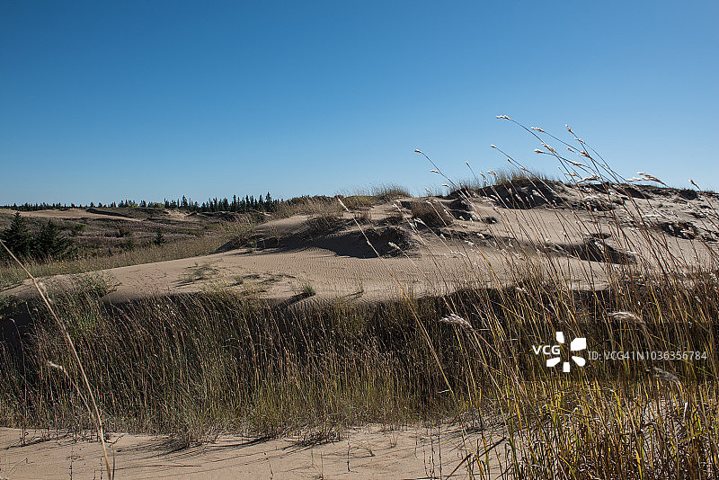 精灵沙图片素材