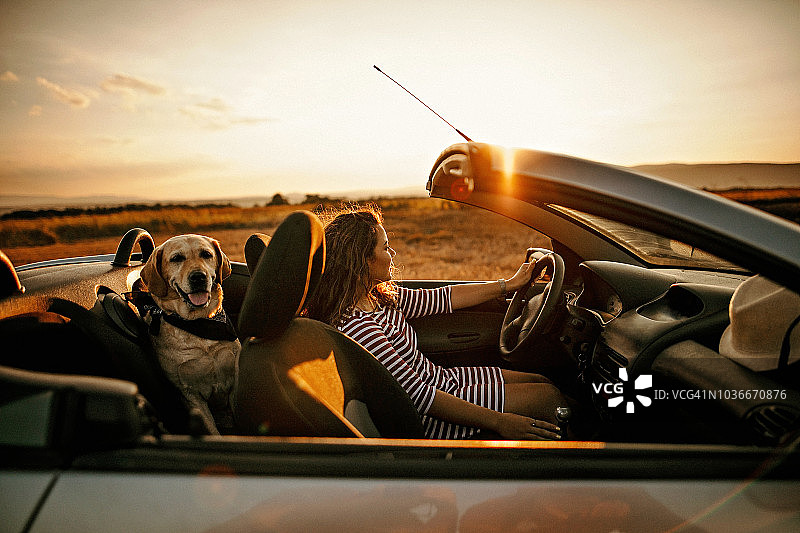 和我的狗一起欣赏日落图片素材