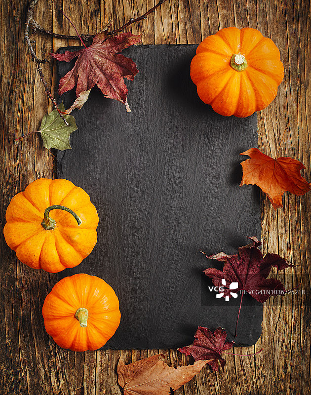 秋叶和南瓜的组合图片素材