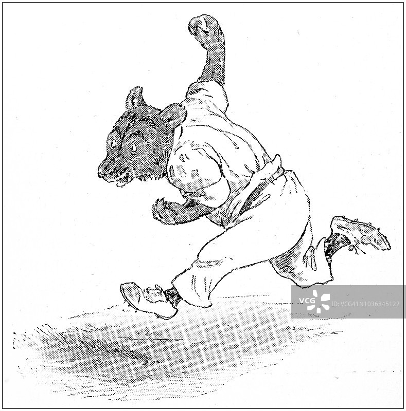 拟人化的动物插图：蟋蟀、熊 vs 狮子图片素材