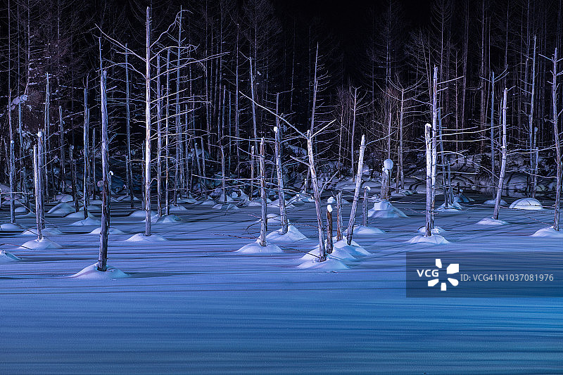 冬季北海道亮灯的白金青池图片素材