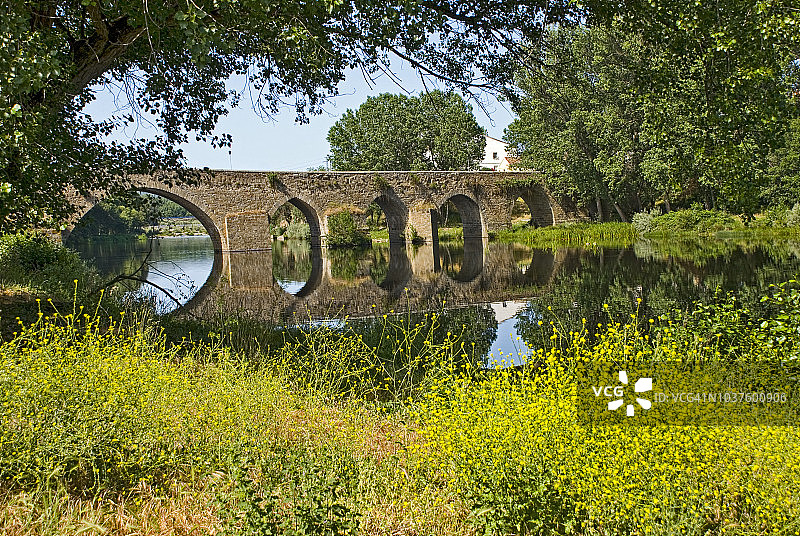 罗马桥与黄色野花图片素材