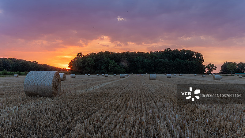 傍晚气氛中的草垛图片素材