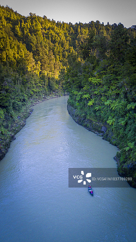 旅行者在旺格努伊河上划皮划艇探索雨林图片素材