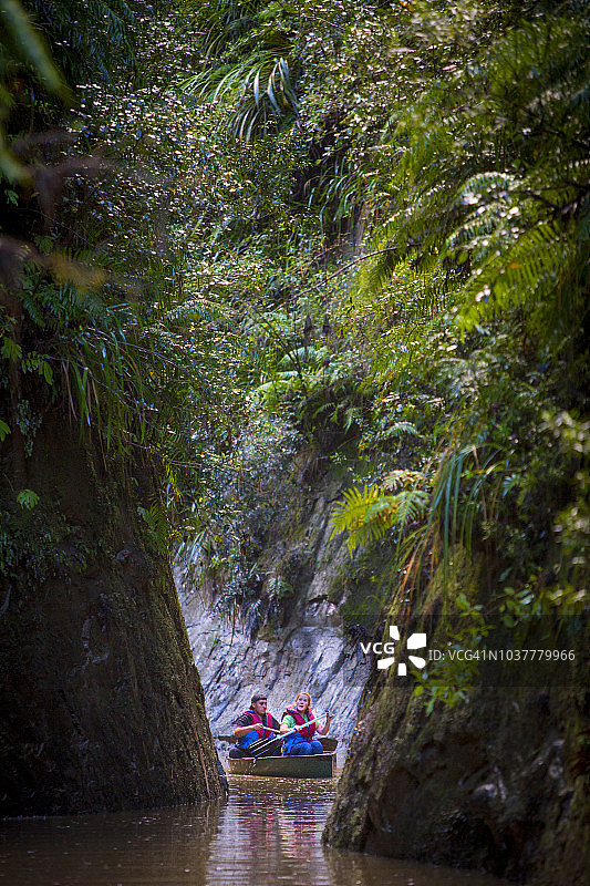 旅行者在旺格努伊河上划皮划艇探索雨林图片素材