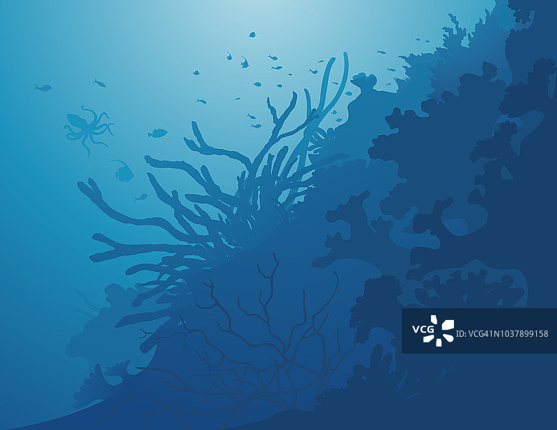 深海背景／海底装饰图片素材