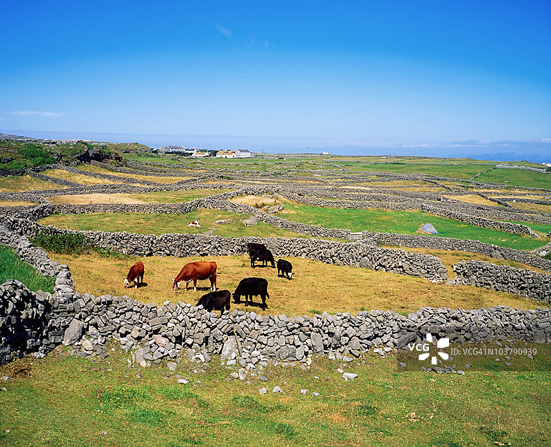 基尔穆尔维，因尼斯莫尔，阿朗群岛，戈尔韦县，爱尔兰图片素材