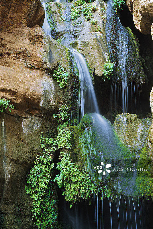 埃尔夫峡谷的涓涓细流旁的瀑布、苔藓和蕨类植物，亚利桑那州大峡谷国家公园图片素材