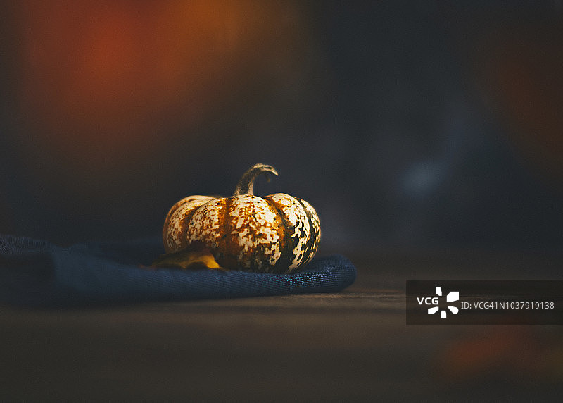 乡村秋季静物背景与斑驳的南瓜图片素材