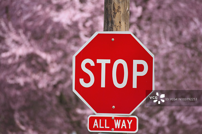 一个停止标志下方写着“全路通行”图片素材