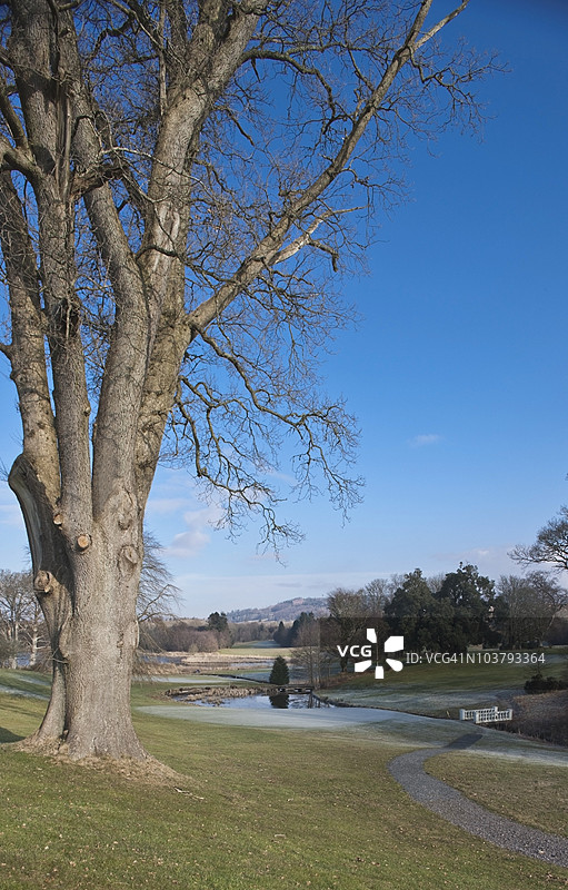 公园中的小径图片素材