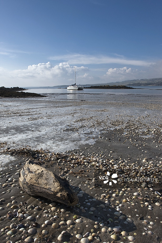 潮水冲刷下的岸边岩石和漂流木图片素材