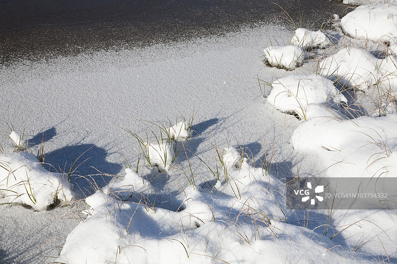 雷尼尔山国家公园的提普苏湖周围的雪图片素材
