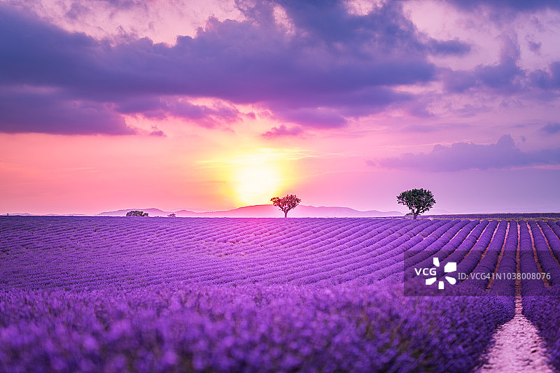 瓦朗索勒附近薰衣草田夏季日落图片素材