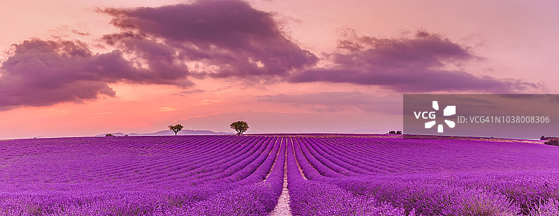 瓦朗索勒附近薰衣草田夏季日落图片素材