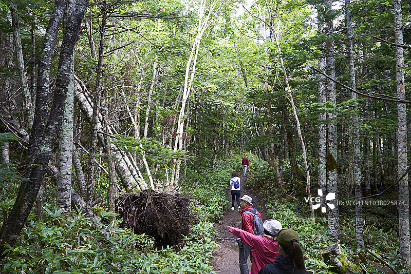游客在日本北海道知床国家公园的风景如画的五湖周围的自然小径上行走图片素材