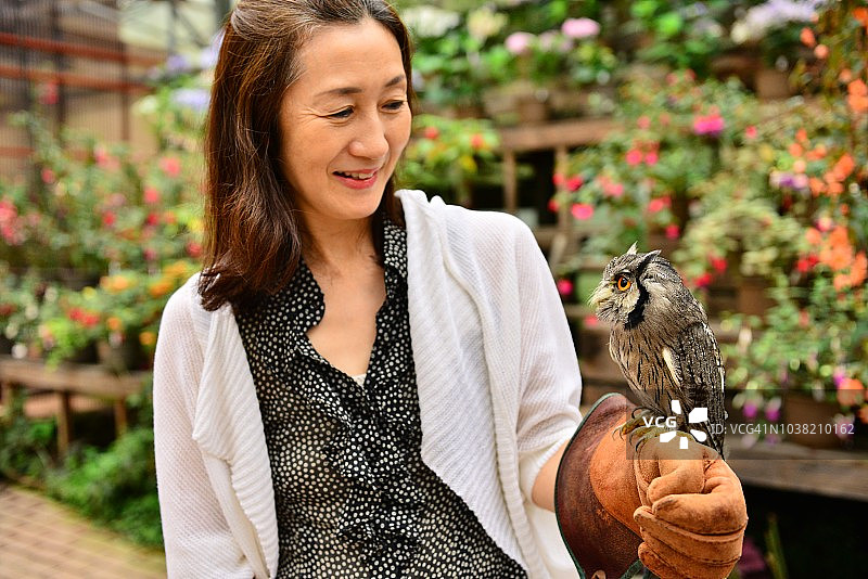 手持北方白脸鸮的日本女子，富士花鸟园图片素材