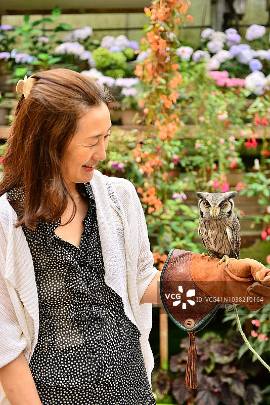 手持北方白脸鸮的日本女子，富士花鸟园图片素材