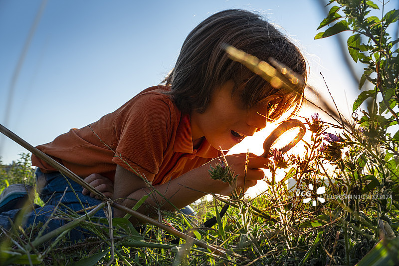孩子在户外做研究图片素材