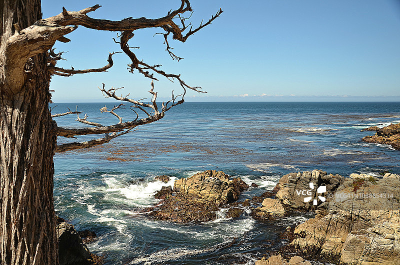 加利福尼亚州卡梅尔太平洋格罗夫门图片素材