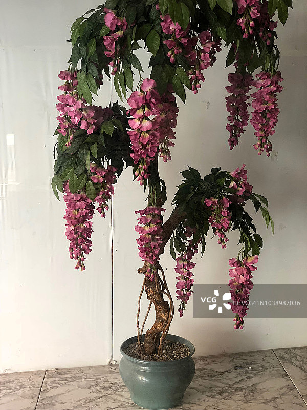 瑞士比尔老城的人造植物图片素材