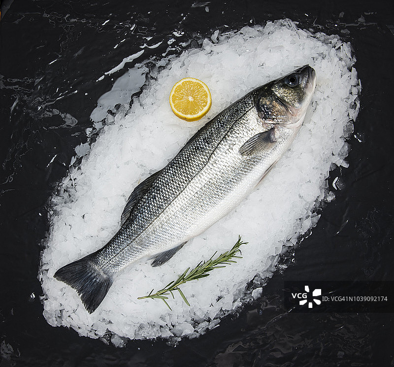 冰上的蓝鱼图片素材