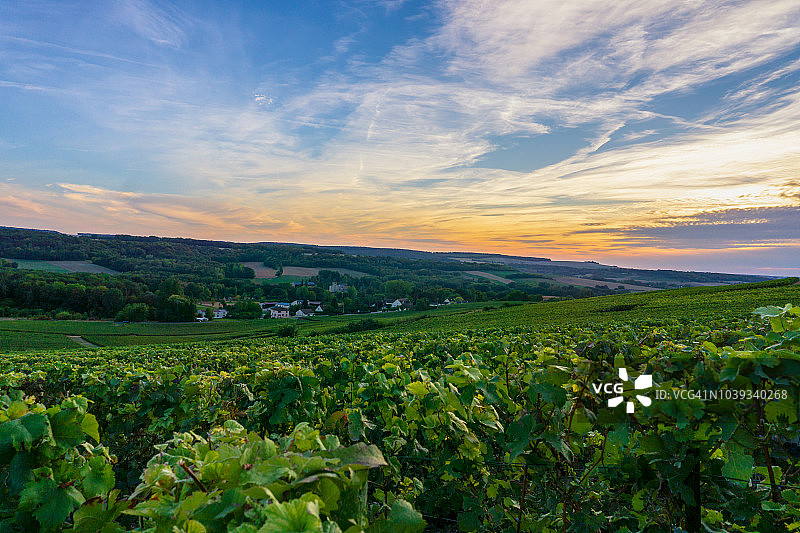 香槟葡萄园，兰斯山区乡村背景图片素材