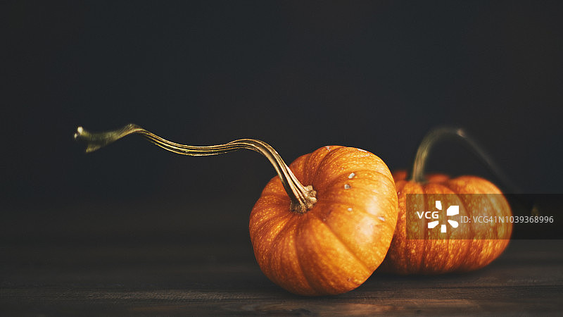 乡村风格秋季静物背景，橙色南瓜图片素材