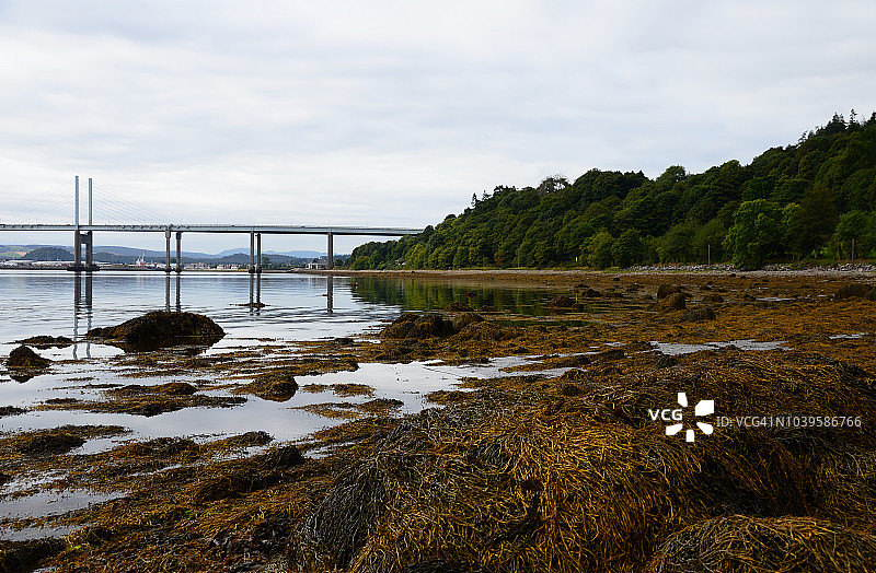 美丽的博利湾图片素材