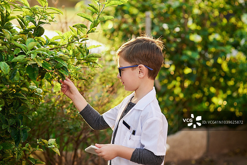 通过探索学习自然图片素材