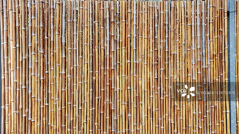 竹篱笆图片素材