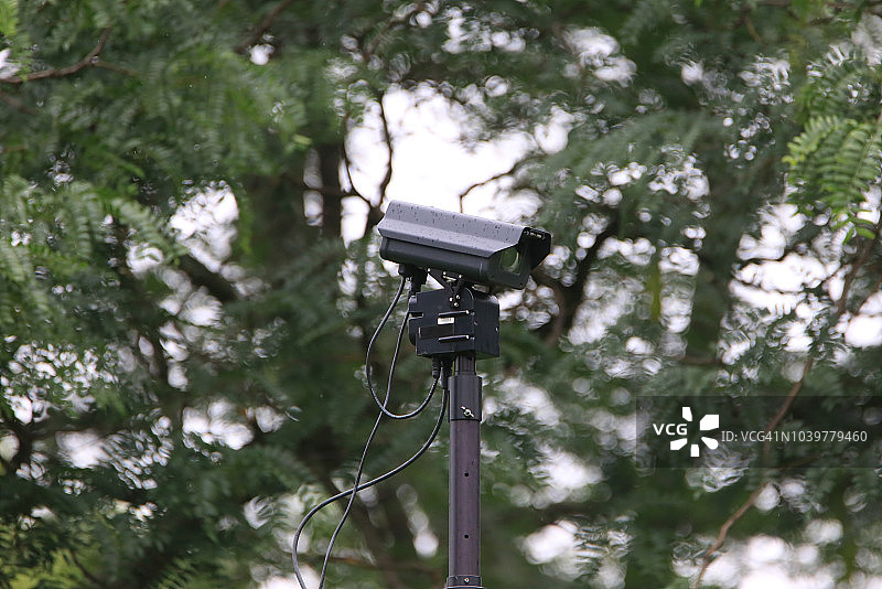 林地中的高架监控摄像头图片素材
