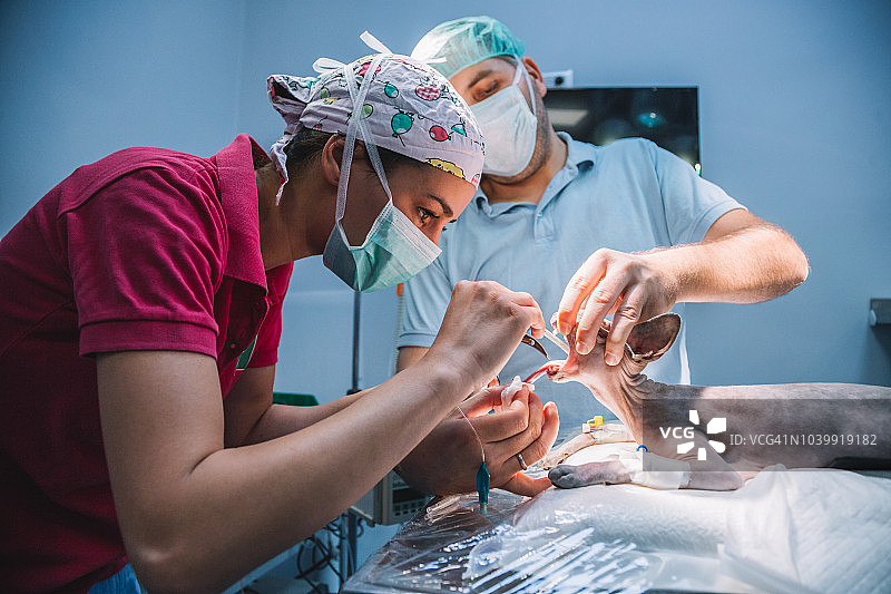 外科医生团队准备手术图片素材