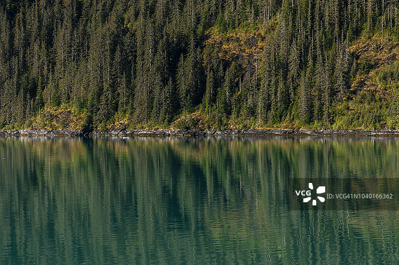 恩迪科特峡湾是斯蒂芬通道的一个长长的分支峡湾，从朱诺向东南延伸图片素材