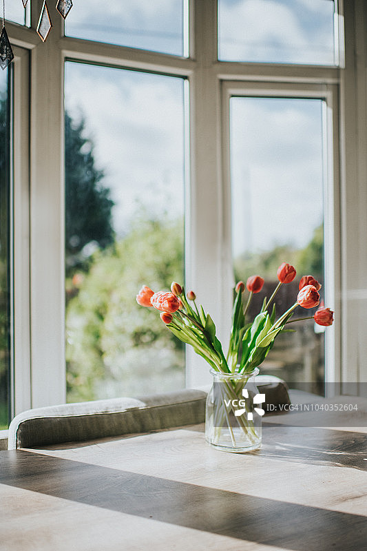 花瓶里的郁金香图片素材