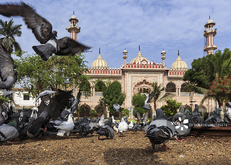 阿拉姆巴格清真寺，卡拉奇，巴基斯坦图片素材