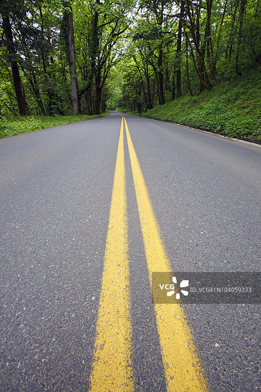 哥伦比亚河峡谷国家风景区沿路的郁郁葱葱的绿色景观图片素材