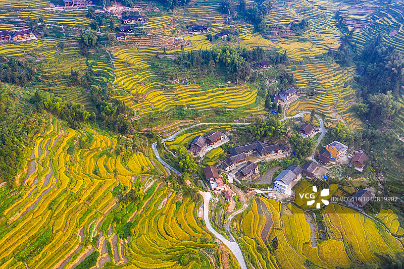 紫鹊界梯田风光图片素材