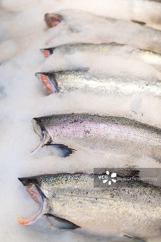 美国华盛顿州西雅图派克市场冰鲜鱼特写图片素材