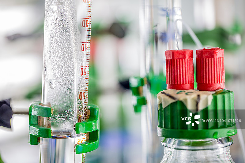 实验室绿色藻类科学实验图片素材